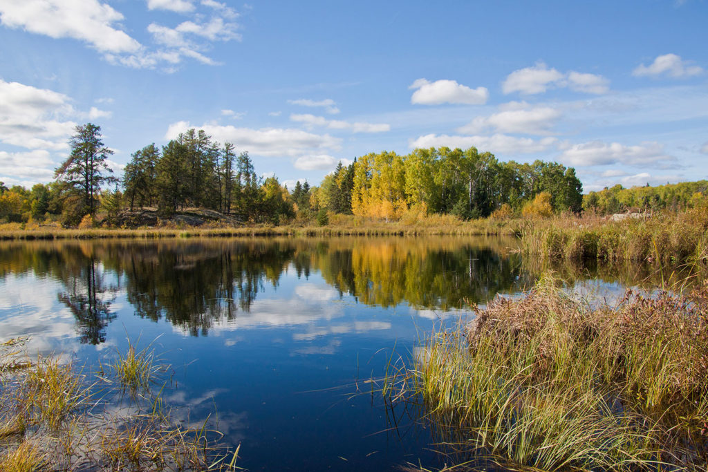 McCain Foundation | Ducks Unlimited Canada