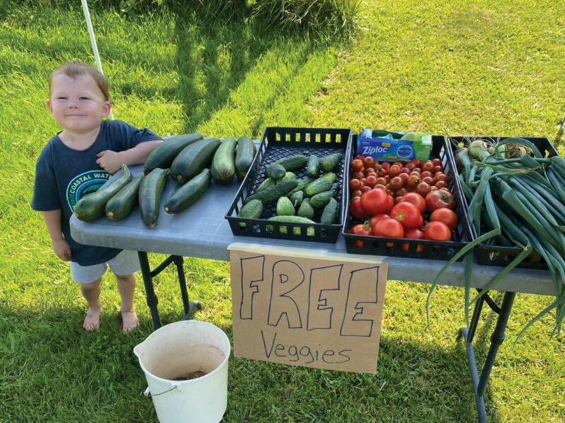 Small child by free vegetable stand