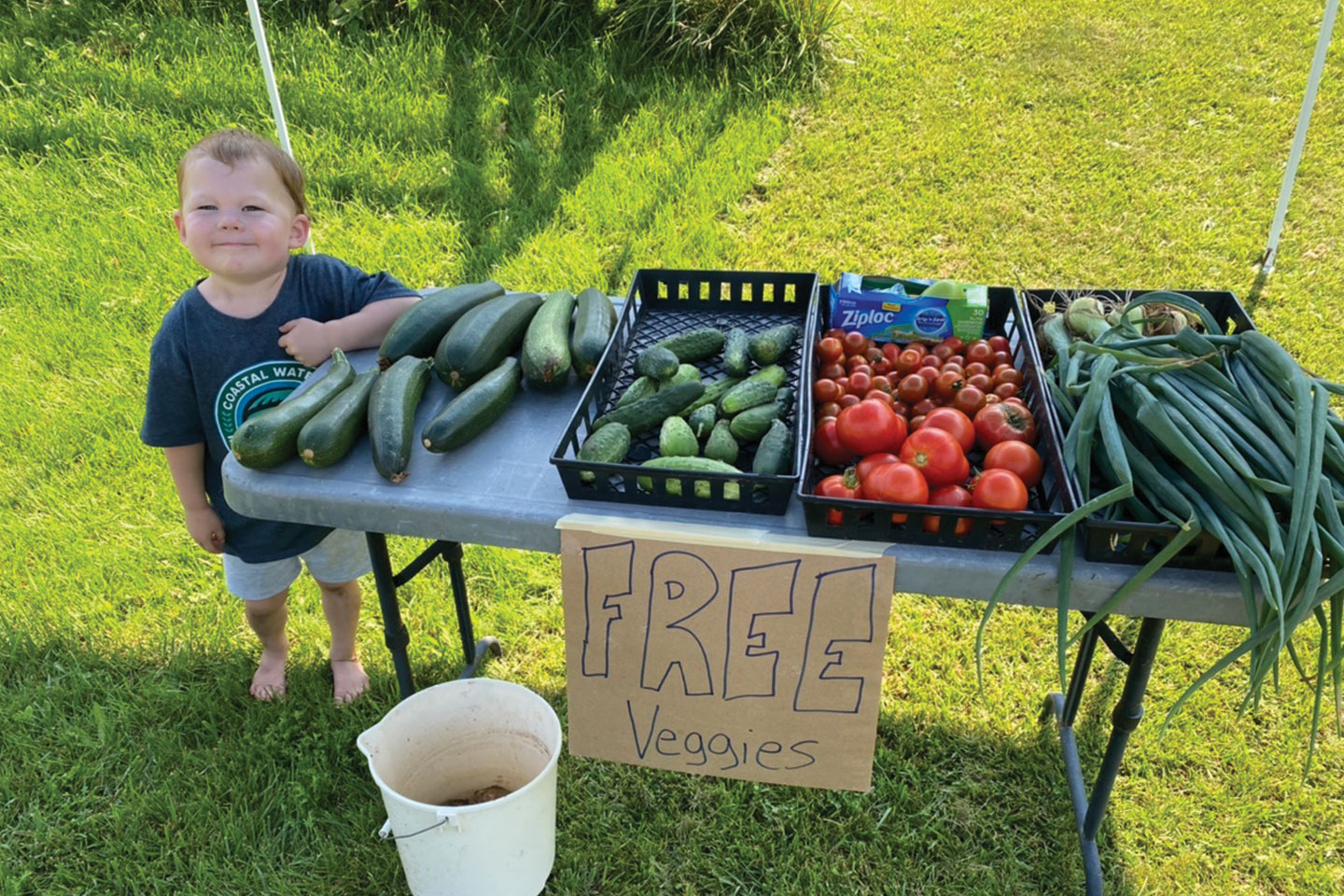 Small child by free vegetable stand
